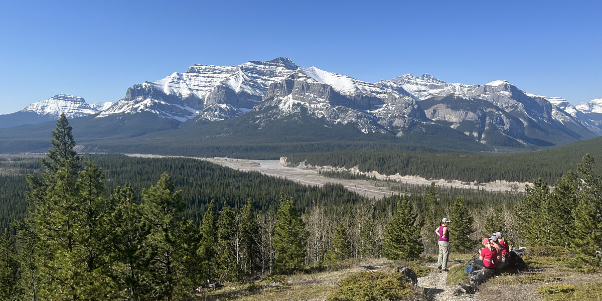 These women have been here before!