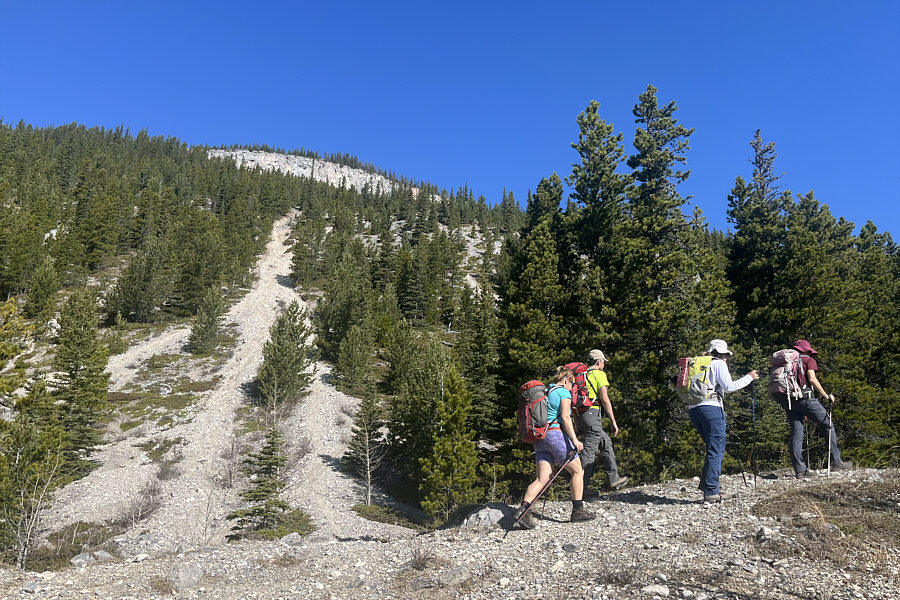 We should've gone straight up here!