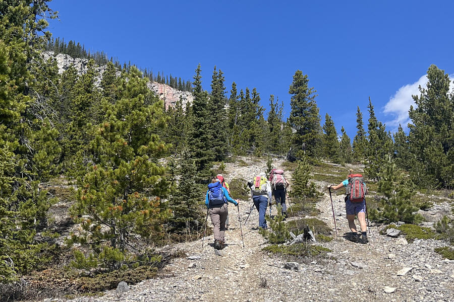 We should've been here 2 hours ago!