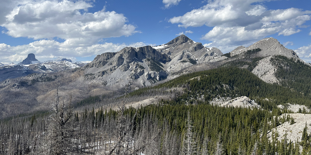 We will be back for the Nubs...maybe next year!