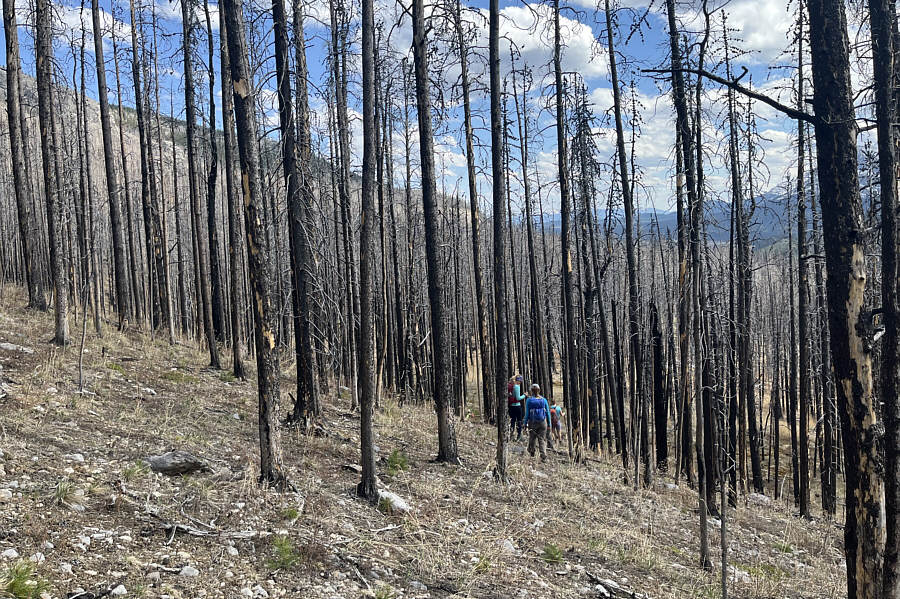 Never coming this way again!