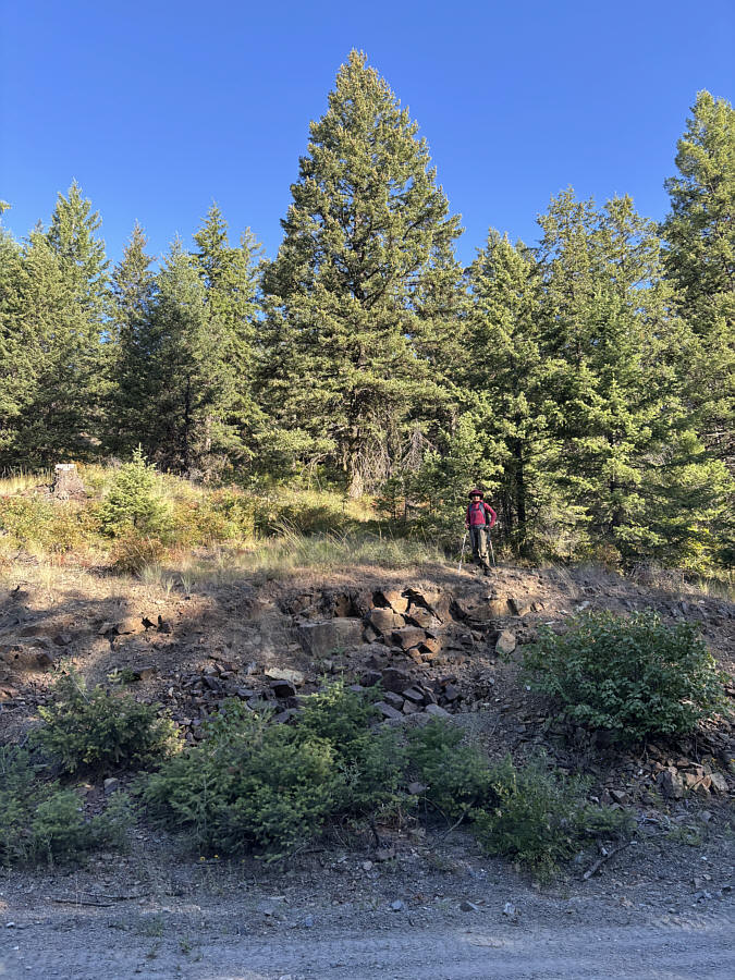 No trail? No problem!