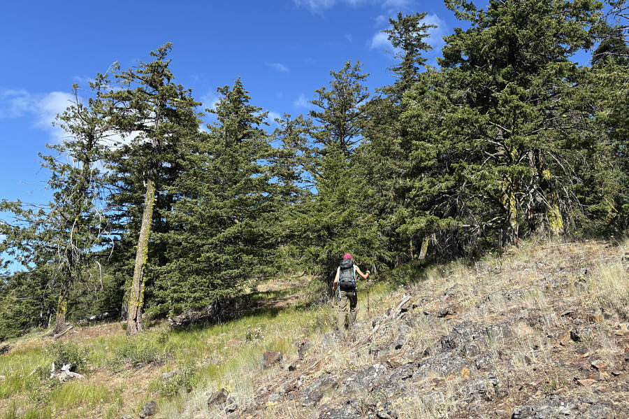 Don't stop at the false summit!