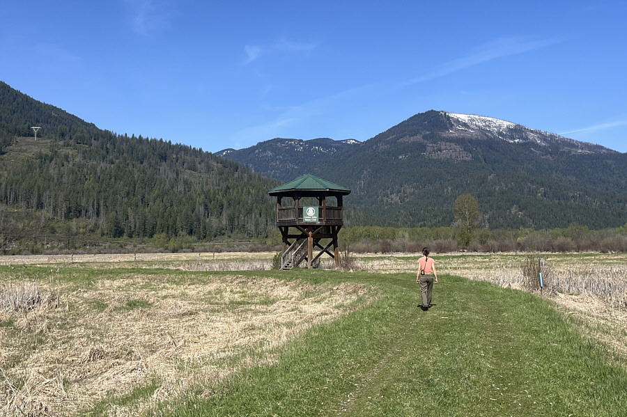 Not surprisingly, there's bird poop everywhere in the observatory!