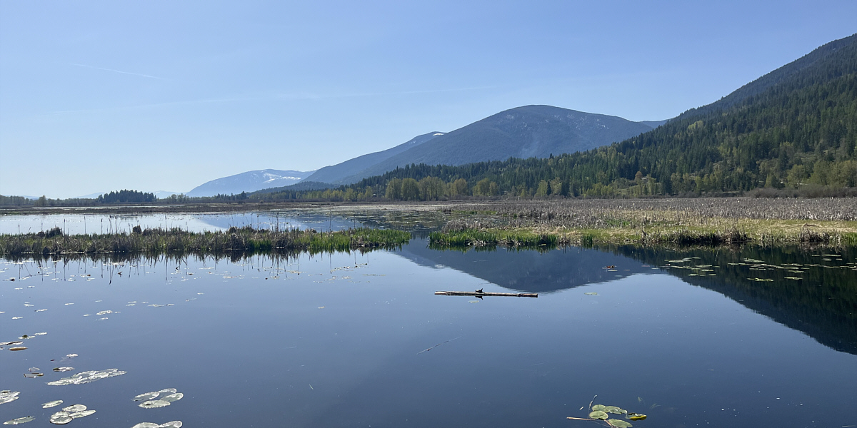 Highlight of the day!