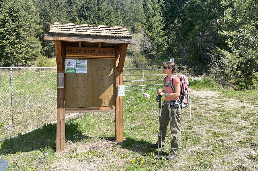 Steven Maffioli of the Green Party garnered only 1.5% of the votes in this riding--Kootenay-Columbia-Southern Rockies--in the 2025 Federal Election. The riding was won by the Conservative incumbent.