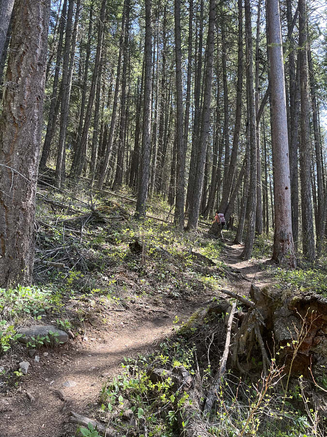 Much welcomed when the sun is hot!