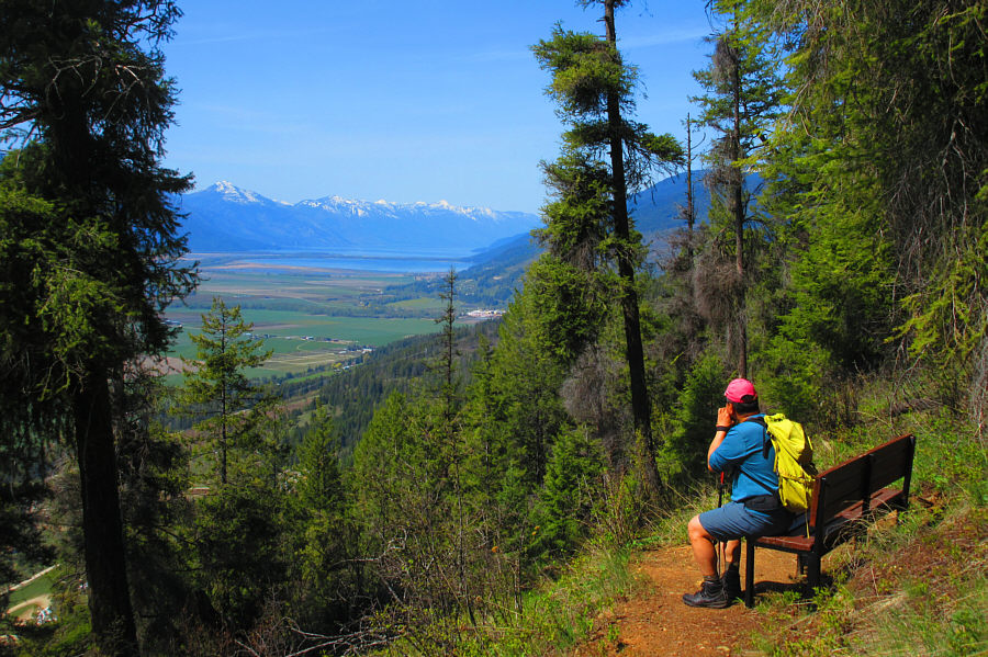 They should cut down a few more trees here...maybe at the top of Arrow Mountain too!