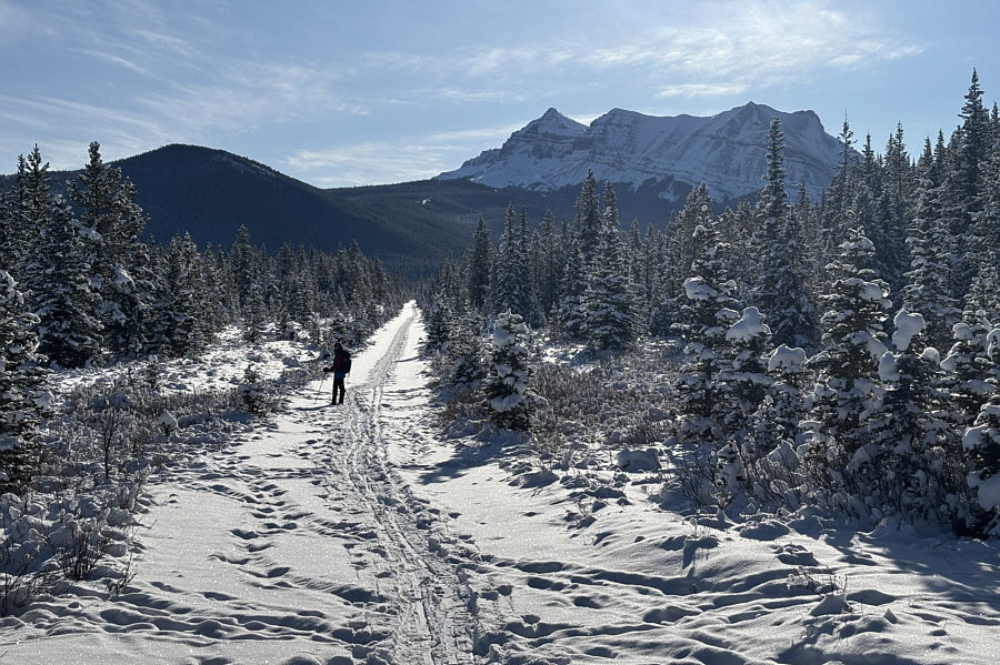 Boy, Threepoint Mountain still looks so far away...