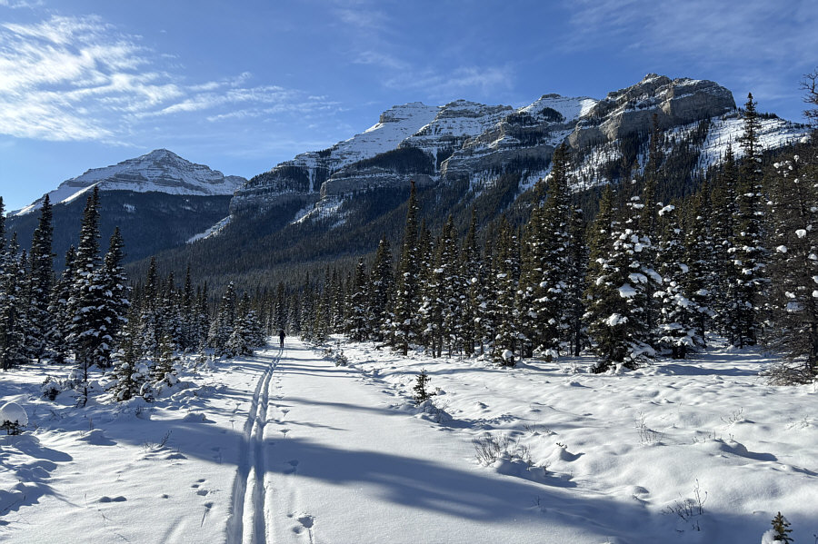 These outliers all look amazing!