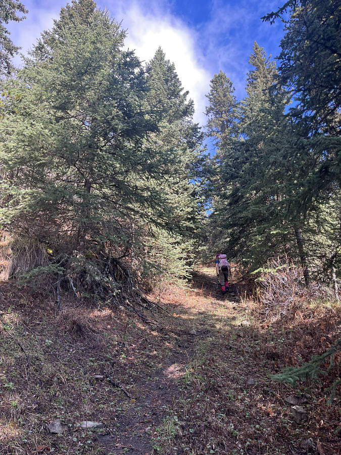 Bloody steep, but it's better than bushwhacking.