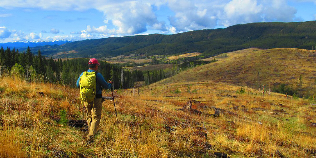 Maybe the best view of the day!