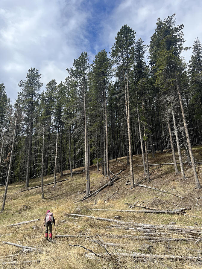 Nothing esthetic about this route--it's simply uphill bashing with brute force!