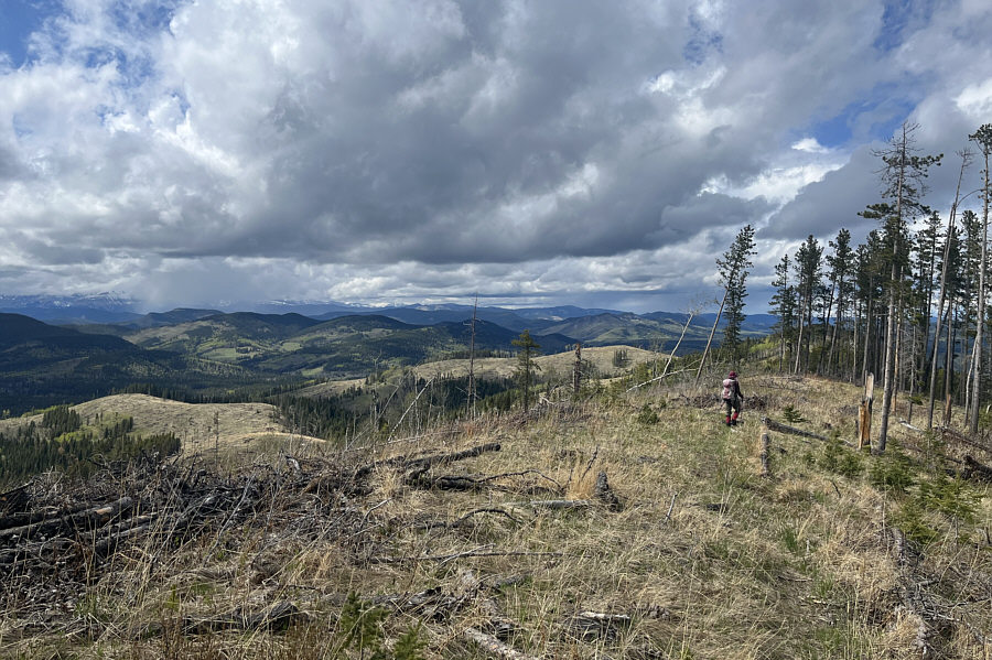 Squeezing as much scenic views as we can out of this trip!