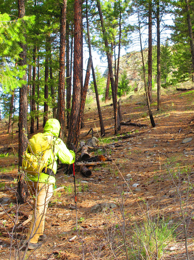 Green thing coming up--edible or will it eat us?