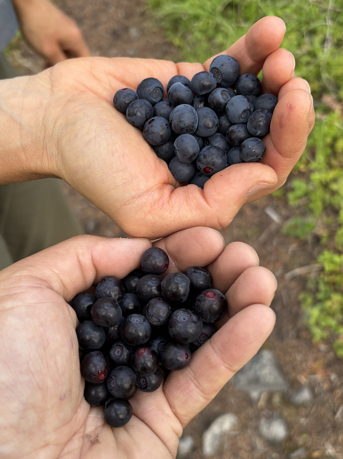 We should start bringing yogurt on our hikes!