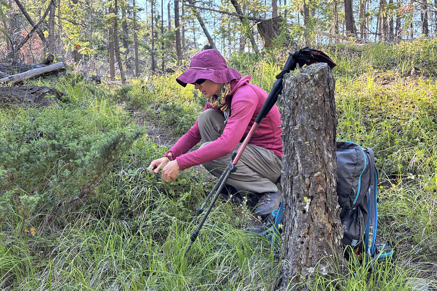 This has nothing to do with being hungry...