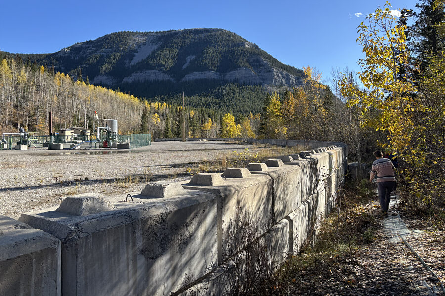 It's a little bushy here but not horrible.