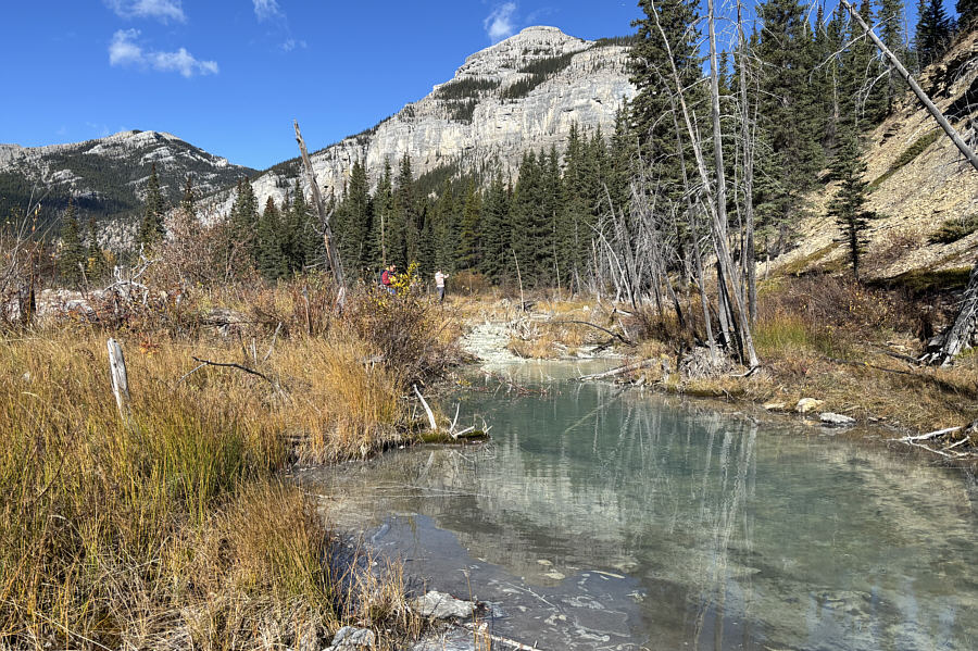 Might be better to view these on a cloudy day!