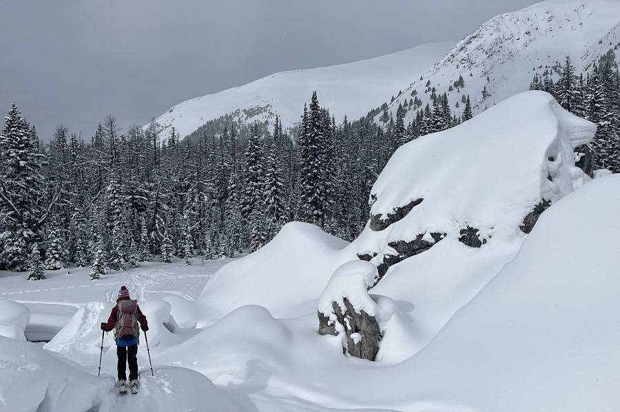 That big open slope in the distance looks very enticing...and dangerous!
