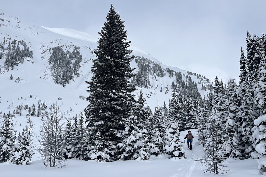 The real adventure begins!