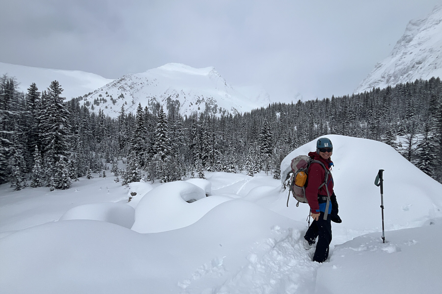 Doesn't look like much, eh?