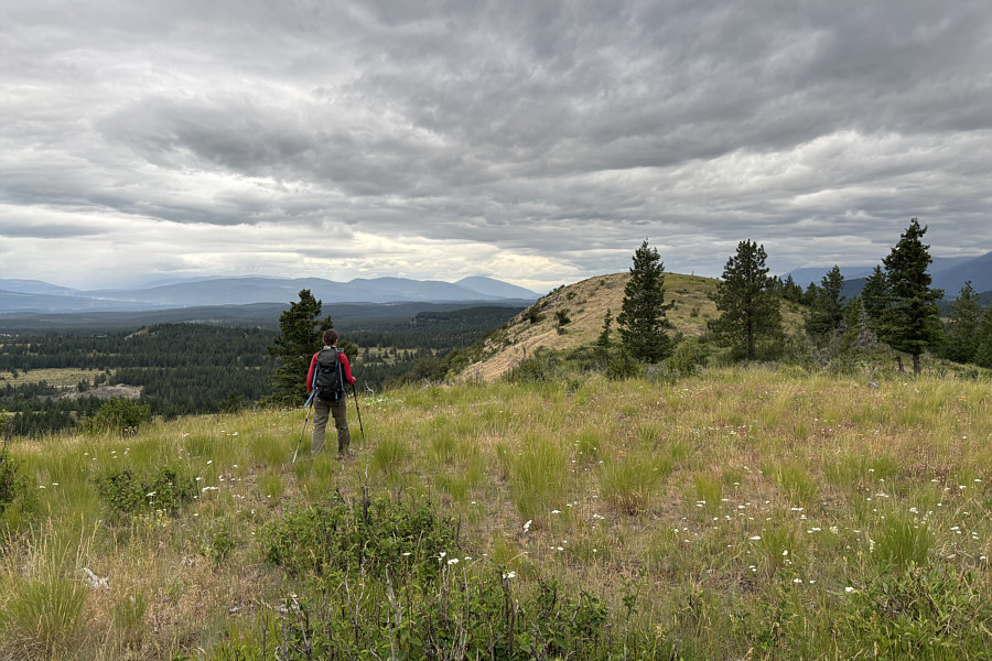 Need some easy route-finding ahead to avoid the bushes in the dip.