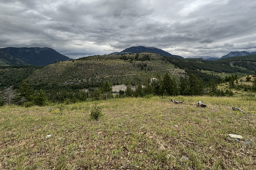 Ironically, the views from the top of bigger Elko Hill are worse than from Elko Hill Jr!