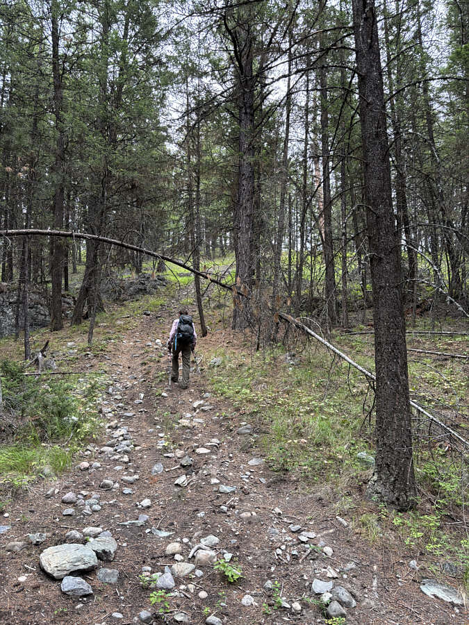 A map is essential to navigate the maze of unsigned trails in the area.