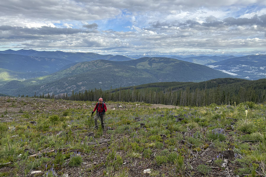 And you even have some views!