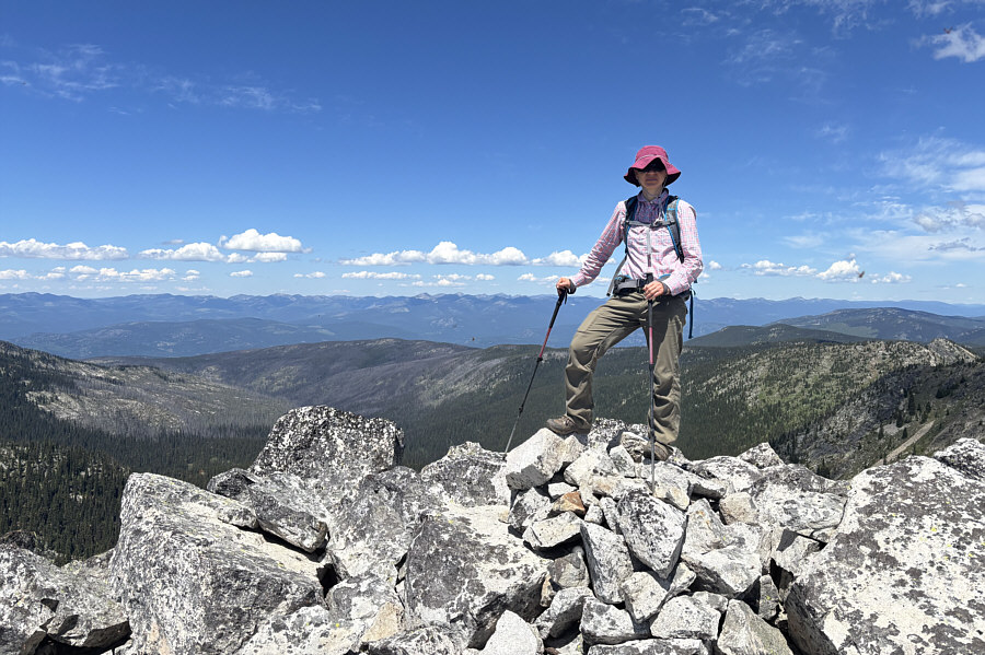 I "photo-shopped" out many of the ladybugs in the air, but you can still see more than a few!