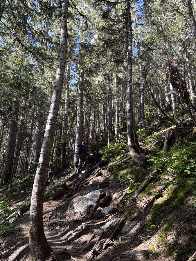 No nonsense--just climb!