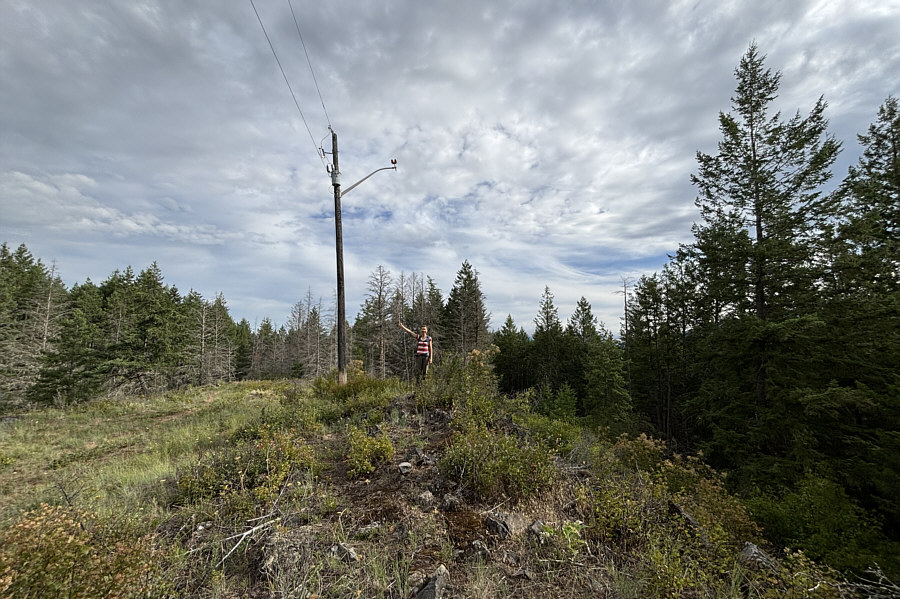 I've stood on LESS scenic summits than this!