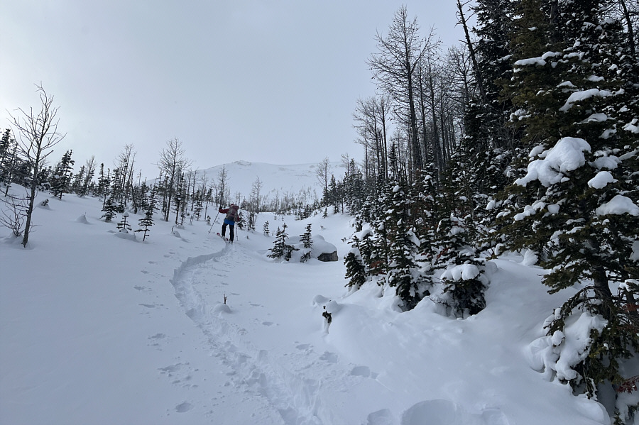 Quite the grunt...literally from me!