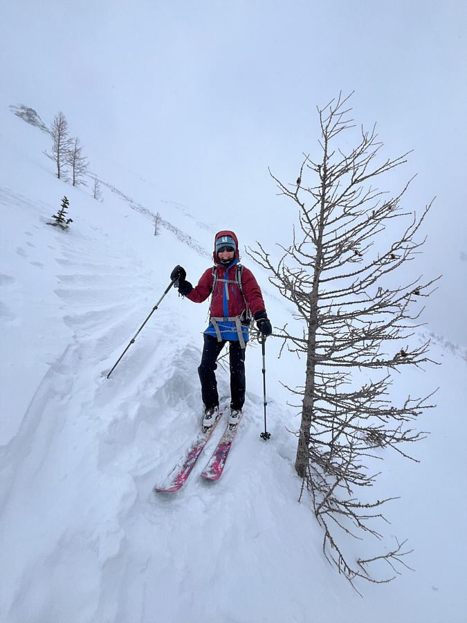 Not quite the last tree but close enough!