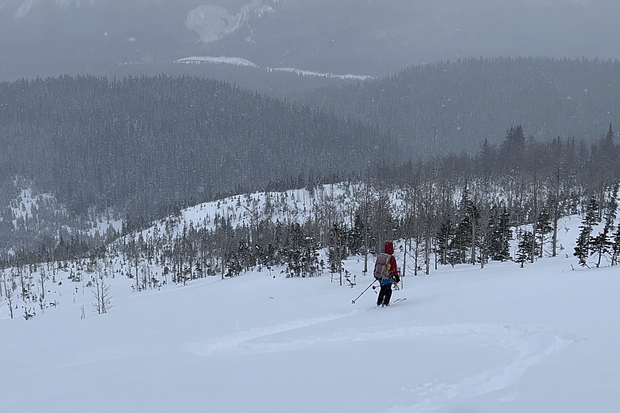 I didn't and hit a shark!