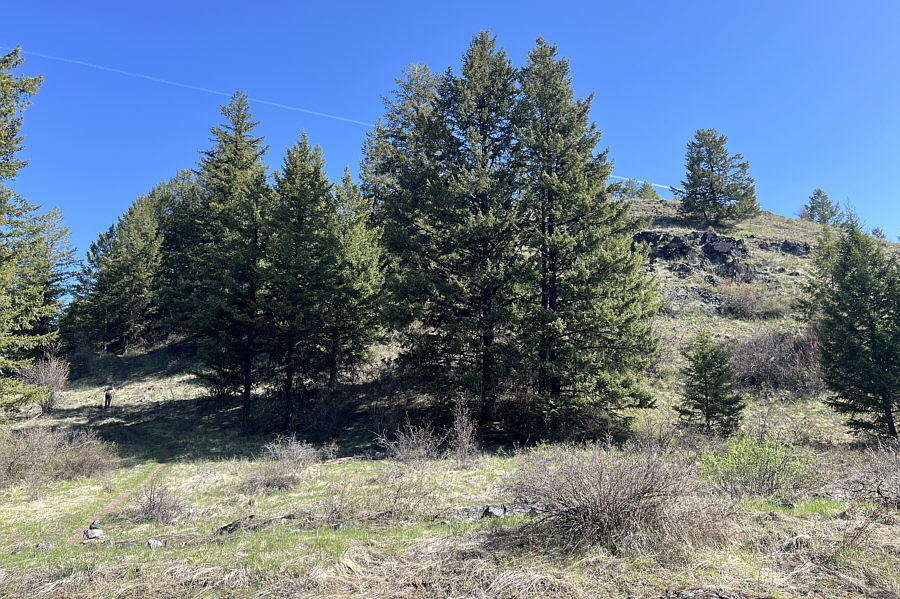 We probably could've scrambled straight up here, but why not use the nice trail?