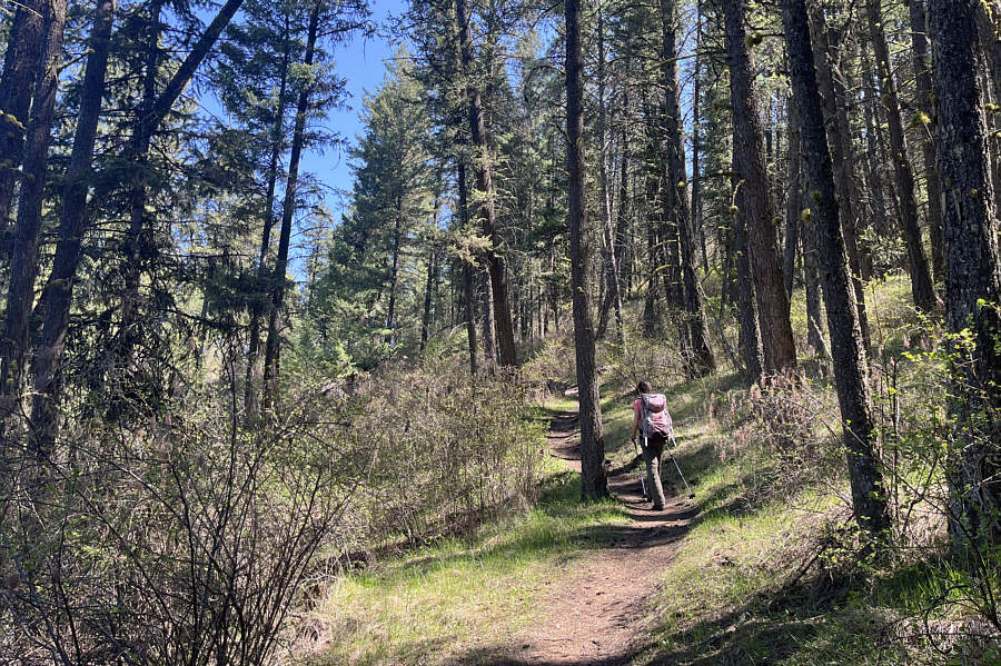 It was actually nice to hike in the shade!