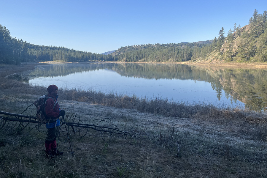 Lotsa waterfowl here too!