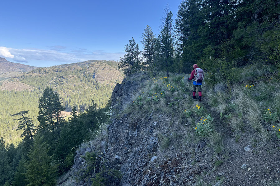 We also saw a few Indian paintbrushes.