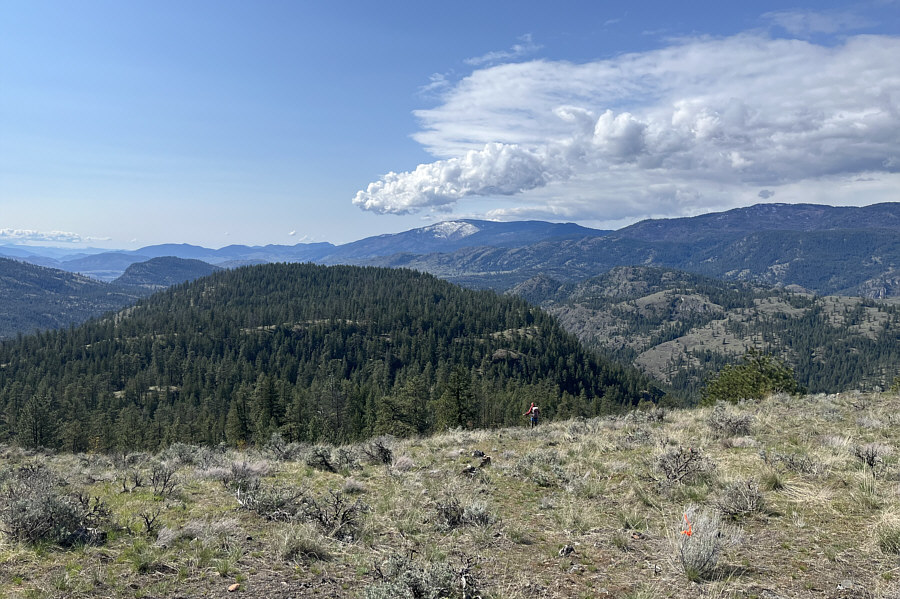 The sparsely-treed ridge at right might be worth exploring in the future...