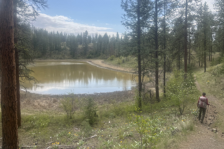 The hazy look of the photo is proabably due to a smudge on my cel phone camera lens!