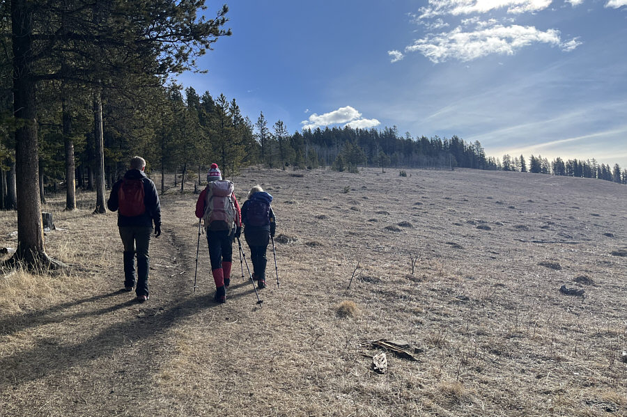 With more snow, this would be a nice ski slope!