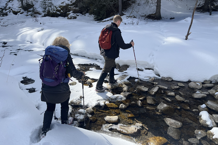 See any Prussian carp?