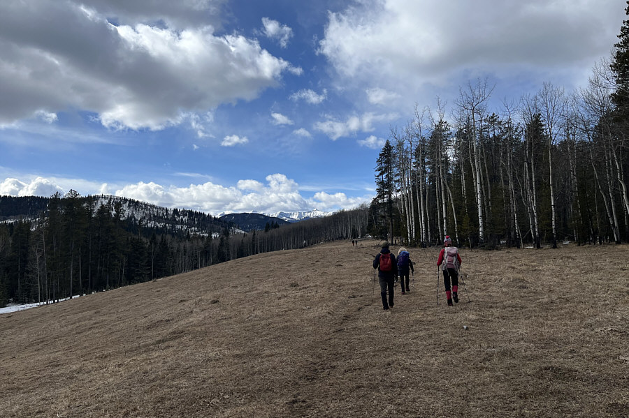 Watch your step--lotsa cow patties here!
