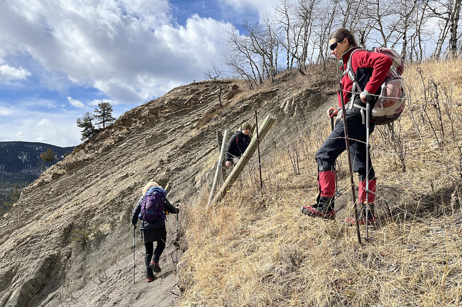 Thank you anyway, Zosia!