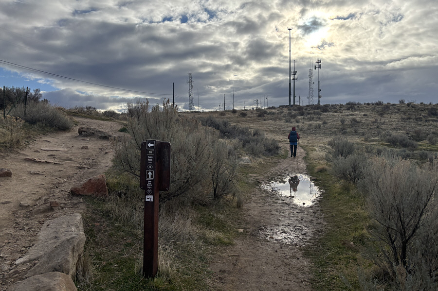 Taking the road less traveled!