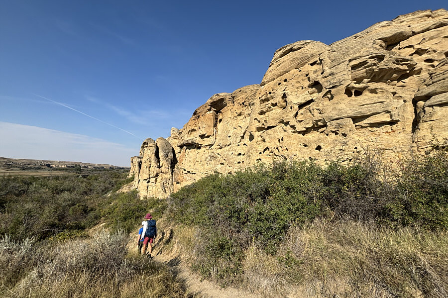 Nice to have some shade from the hot sun!