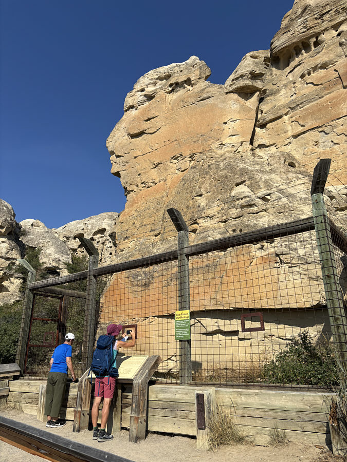 I wonder if the fence is electrified...