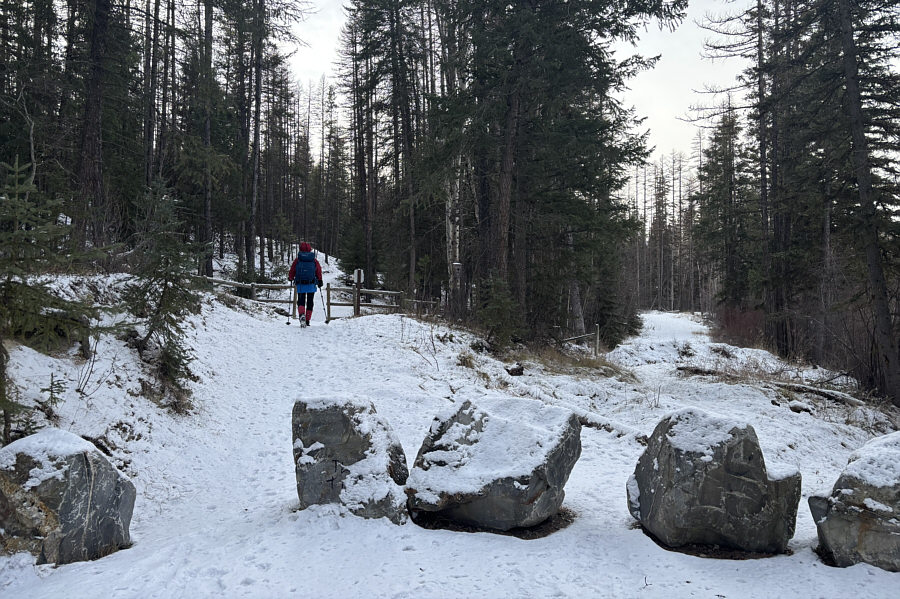 Taking the road more traveled!